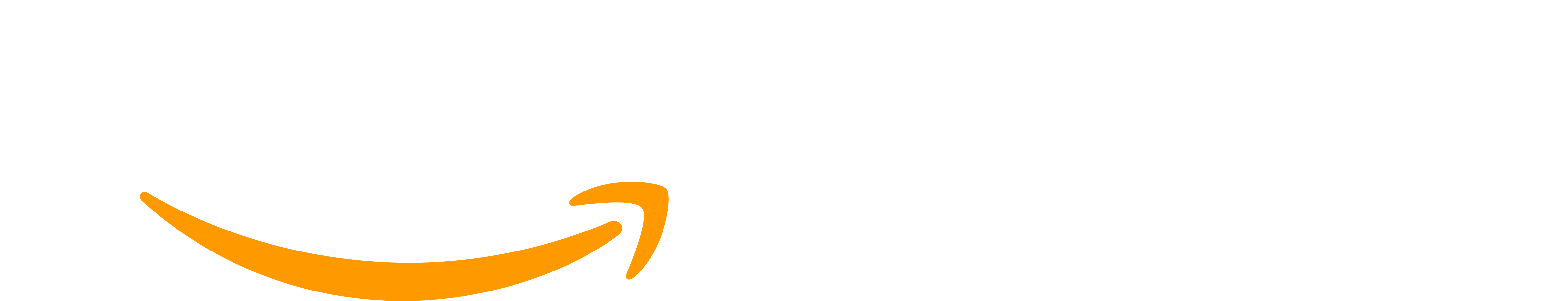 Logo AmazonPay pagamento sicuro
